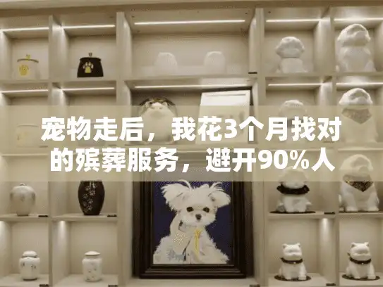 宠物走后，我花3个月找对的殡葬服务，避开90%人踩的3个坑