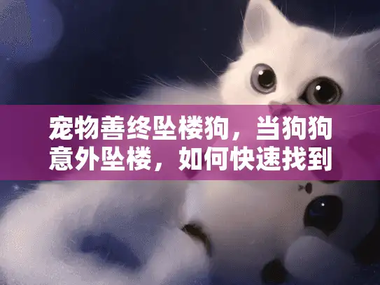 宠物善终坠楼狗，当狗狗意外坠楼，如何快速找到可靠宠物殡葬服务