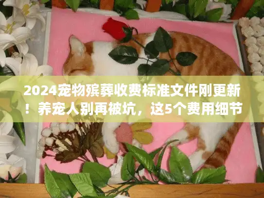 2024宠物殡葬收费标准文件刚更新！养宠人别再被坑，这5个费用细节必须弄清