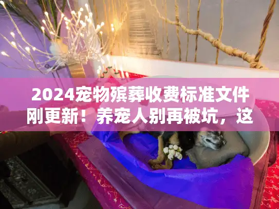 2024宠物殡葬收费标准文件刚更新！养宠人别再被坑，这5个费用细节必须弄清