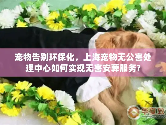 宠物告别环保化，上海宠物无公害处理中心如何实现无害安葬服务?