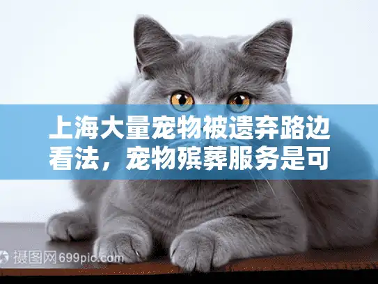 上海大量宠物被遗弃路边看法，宠物殡葬服务是可行解决方案吗？