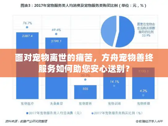 面对宠物离世的痛苦，方舟宠物善终服务如何助您安心送别？