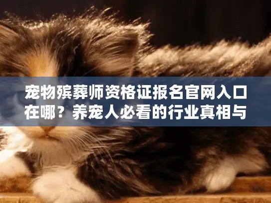 宠物殡葬师资格证报名官网入口在哪？养宠人必看的行业真相与服务选择指南