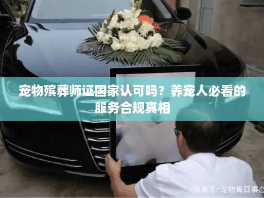 宠物殡葬师证国家认可吗？养宠人必看的服务合规真相