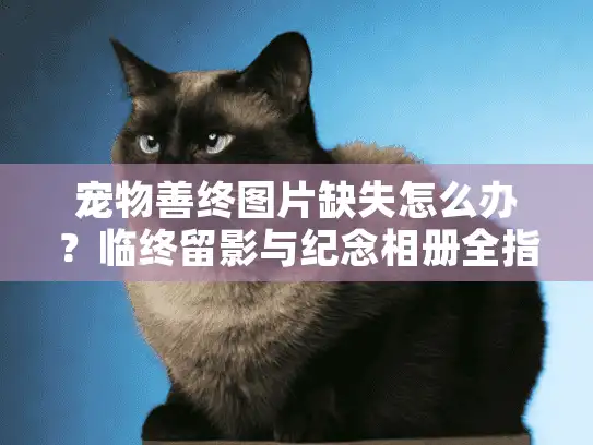 宠物善终图片缺失怎么办？临终留影与纪念相册全指南