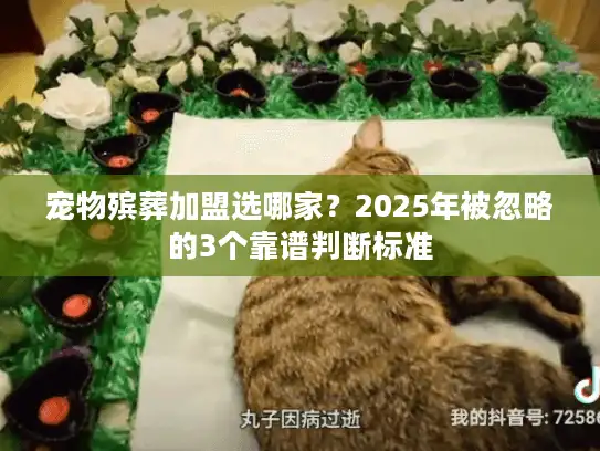 宠物殡葬加盟选哪家？2025年被忽略的3个靠谱判断标准