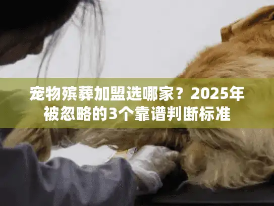 宠物殡葬加盟选哪家？2025年被忽略的3个靠谱判断标准