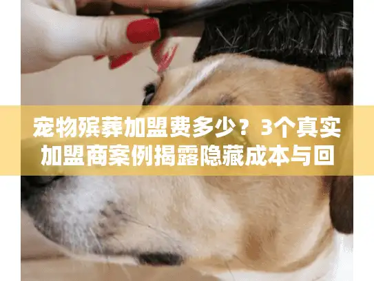 宠物殡葬加盟费多少？3个真实加盟商案例揭露隐藏成本与回本周期