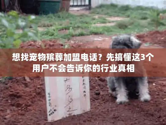 想找宠物殡葬加盟电话？先搞懂这3个用户不会告诉你的行业真相