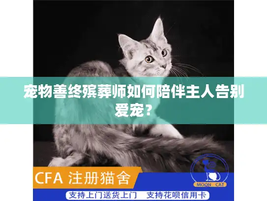 宠物善终殡葬师如何陪伴主人告别爱宠？