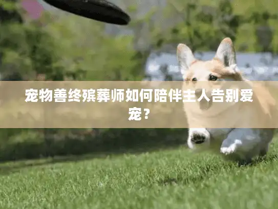 宠物善终殡葬师如何陪伴主人告别爱宠？