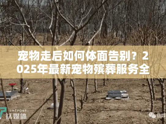 宠物走后如何体面告别？2025年最新宠物殡葬服务全流程拆解（附避坑指南）