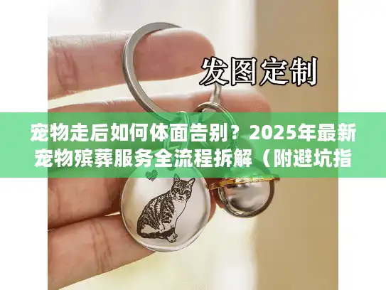宠物走后如何体面告别？2025年最新宠物殡葬服务全流程拆解（附避坑指南）