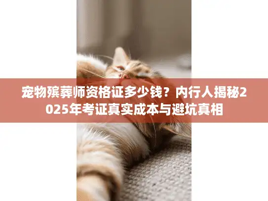 宠物殡葬师资格证多少钱？内行人揭秘2025年考证真实成本与避坑真相