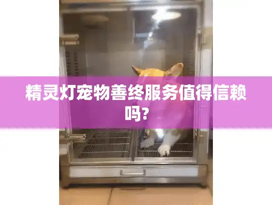 精灵灯宠物善终服务值得信赖吗?