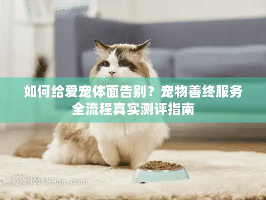 如何给爱宠体面告别？宠物善终服务全流程真实测评指南