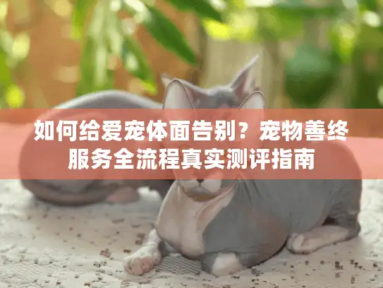 如何给爱宠体面告别？宠物善终服务全流程真实测评指南