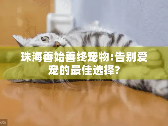 珠海善始善终宠物:告别爱宠的最佳选择?