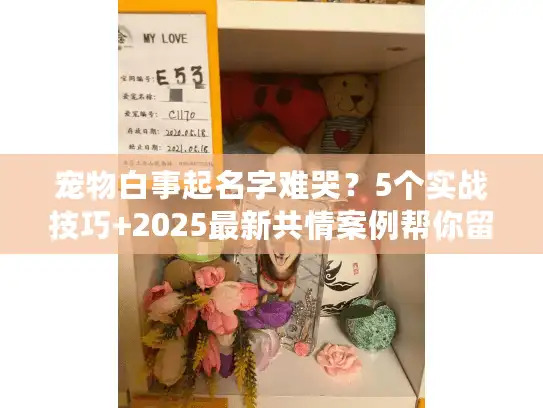 宠物白事起名字难哭？5个实战技巧+2025最新共情案例帮你留最后一份暖