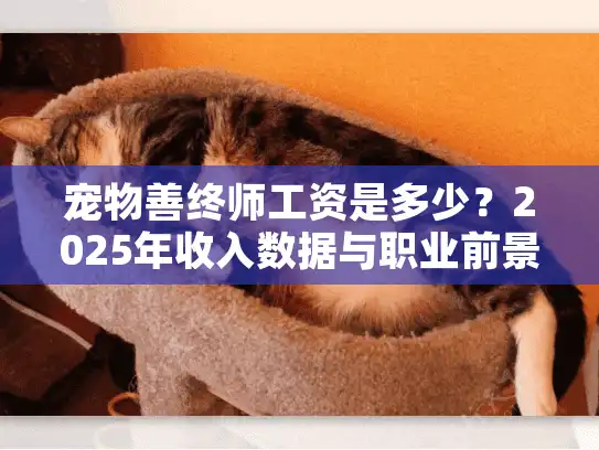 宠物善终师工资是多少？2025年收入数据与职业前景分析