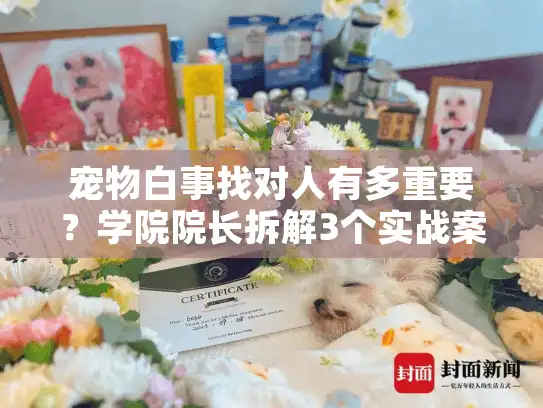 宠物白事找对人有多重要？学院院长拆解3个实战案例，帮你避坑90%痛点