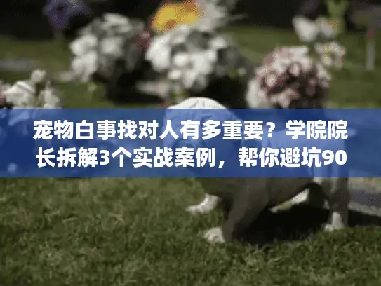 宠物白事找对人有多重要？学院院长拆解3个实战案例，帮你避坑90%痛点