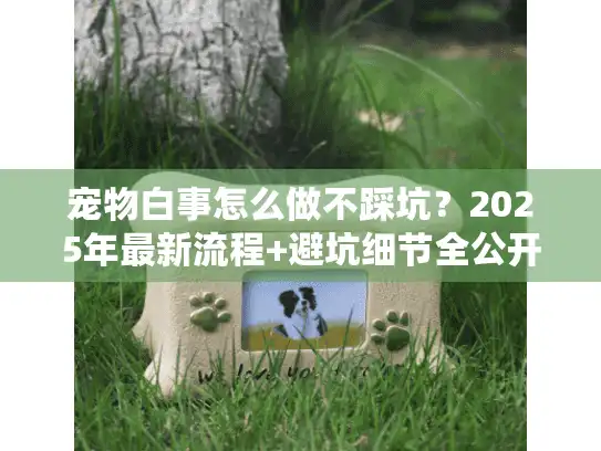宠物白事怎么做不踩坑？2025年最新流程+避坑细节全公开