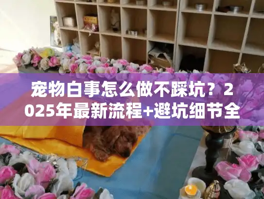 宠物白事怎么做不踩坑？2025年最新流程+避坑细节全公开