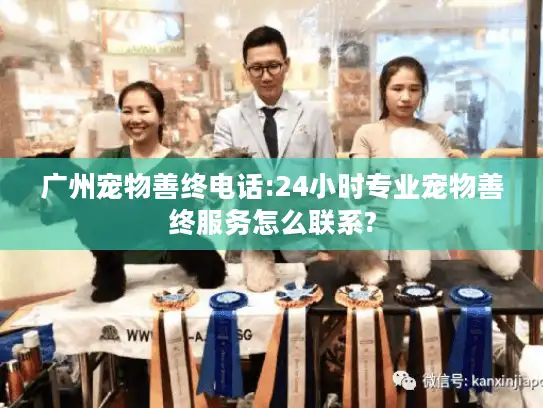广州宠物善终电话:24小时专业宠物善终服务怎么联系?