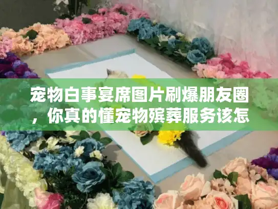 宠物白事宴席图片刷爆朋友圈，你真的懂宠物殡葬服务该怎么选吗？