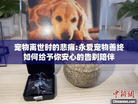 宠物离世时的悲痛:永爱宠物善终如何给予你安心的告别陪伴