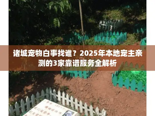 诸城宠物白事找谁？2025年本地宠主亲测的3家靠谱服务全解析