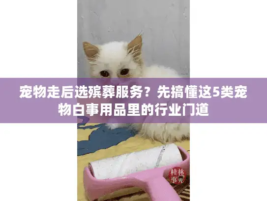 宠物走后选殡葬服务？先搞懂这5类宠物白事用品里的行业门道