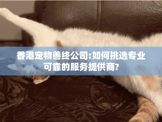 香港宠物善终公司:如何挑选专业可靠的服务提供商?