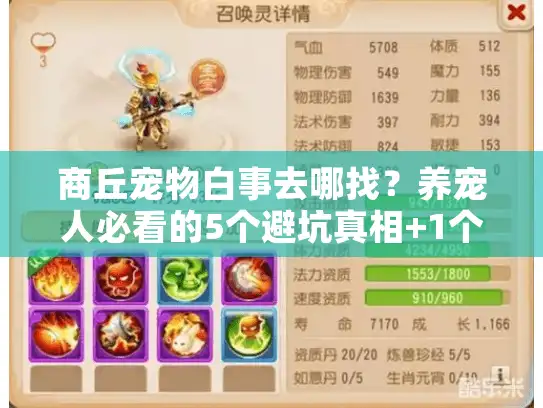 商丘宠物白事去哪找？养宠人必看的5个避坑真相+1个暖心案例