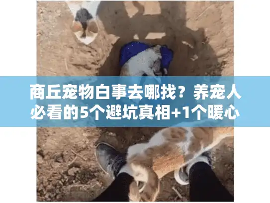 商丘宠物白事去哪找？养宠人必看的5个避坑真相+1个暖心案例