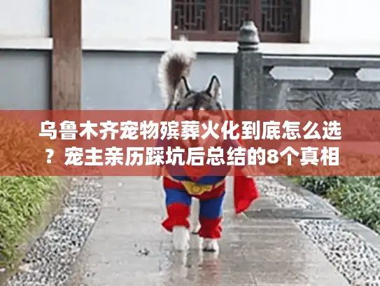 乌鲁木齐宠物殡葬火化到底怎么选？宠主亲历踩坑后总结的8个真相