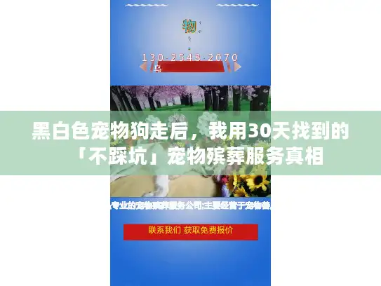 黑白色宠物狗走后，我用30天找到的「不踩坑」宠物殡葬服务真相