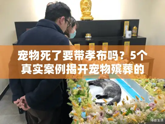 宠物死了要带孝布吗？5个真实案例揭开宠物殡葬的情感与仪式边界