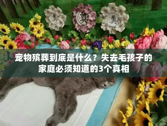 宠物殡葬到底是什么？失去毛孩子的家庭必须知道的3个真相