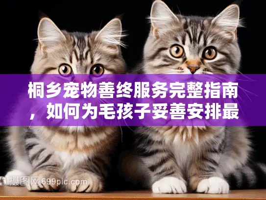 桐乡宠物善终服务完整指南，如何为毛孩子妥善安排最后一程？