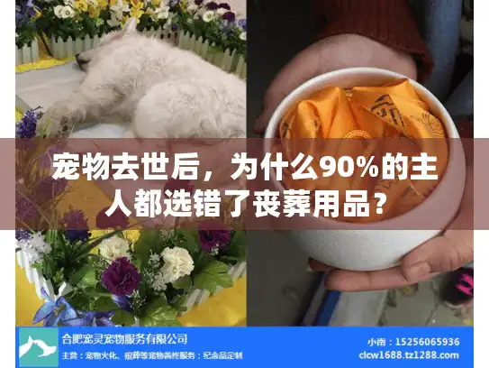 宠物去世后，为什么90%的主人都选错了丧葬用品？