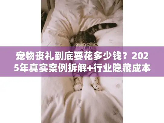 宠物丧礼到底要花多少钱？2025年真实案例拆解+行业隐藏成本全曝光