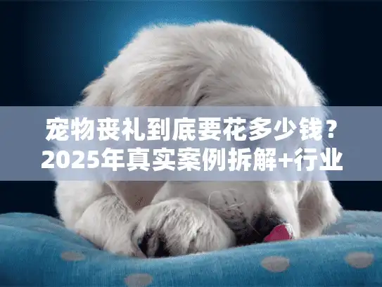 宠物丧礼到底要花多少钱？2025年真实案例拆解+行业隐藏成本全曝光