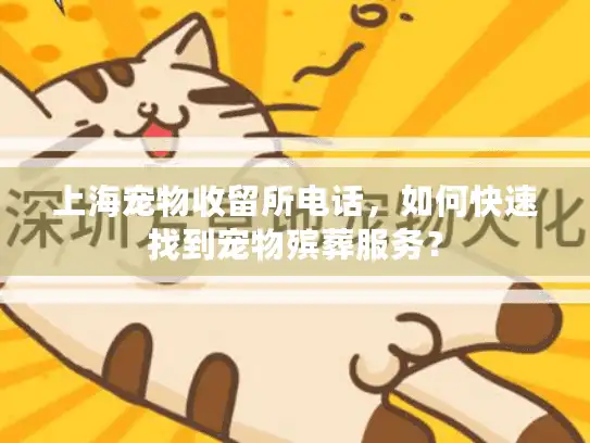 上海宠物收留所电话，如何快速找到宠物殡葬服务？