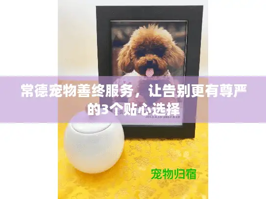 常德宠物善终服务，让告别更有尊严的3个贴心选择