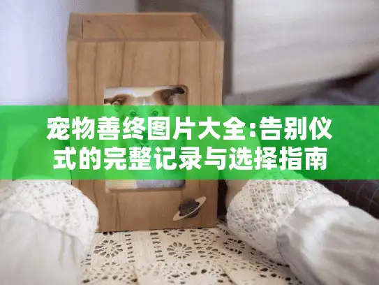 宠物善终图片大全:告别仪式的完整记录与选择指南
