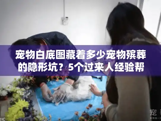 宠物白底图藏着多少宠物殡葬的隐形坑？5个过来人经验帮你避坑