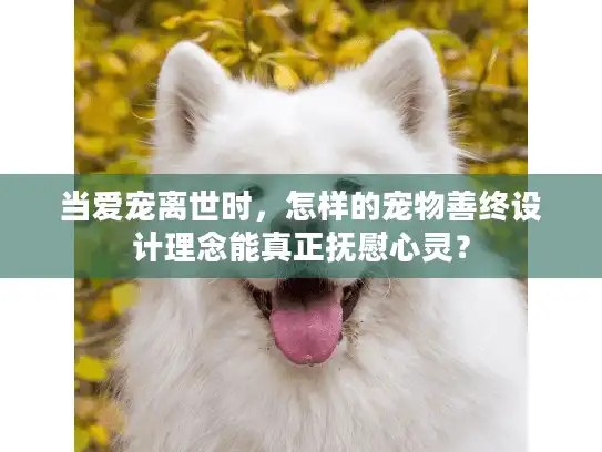 当爱宠离世时，怎样的宠物善终设计理念能真正抚慰心灵？